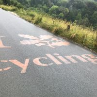 Profile photo for Edi Middleton