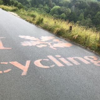 Profile photo for Edi Middleton