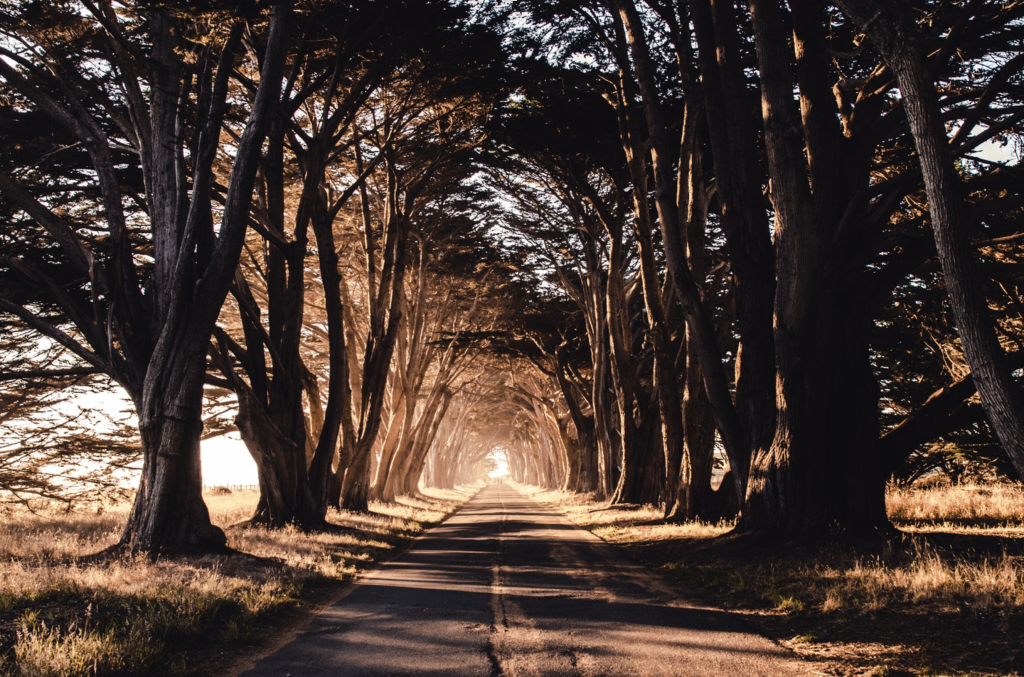 safe places to cycle near me