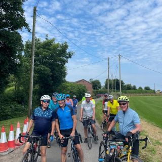 Profile photo for Mike Wiggins