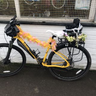 Profile photo for Elaine Banks