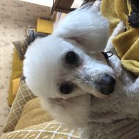 Profile photo for Christina Ball