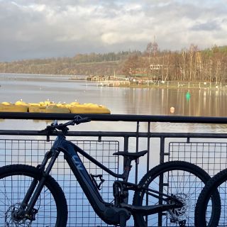 Profile photo for 1 Michelle  Mackay