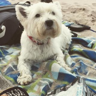 Profile photo for Robin Wimbush