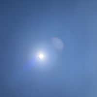 Profile photo for Stacie  Brown 