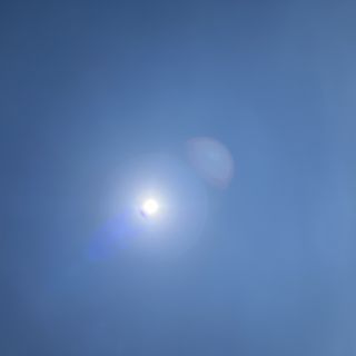 Profile photo for Stacie  Brown 