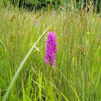 Profile photo for Rena Zhang