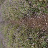 Profile photo for Arooge Atugba