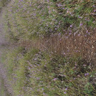 Profile photo for Arooge Atugba