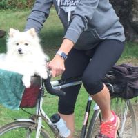 Profile photo for Shelley Cockle