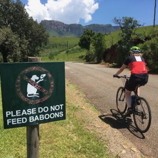 Profile photo for Rosanne Eardley