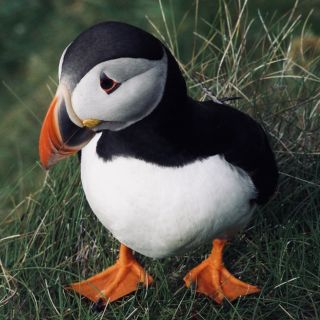 Profile photo for Michelle Banks