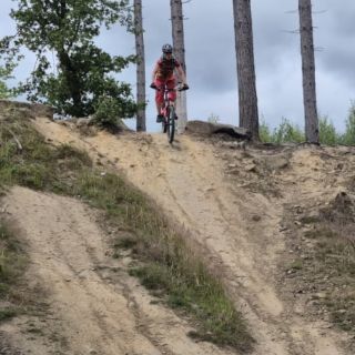 Profile photo for Tracey Bolton