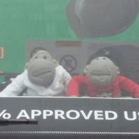 Profile photo for Chris  Nichols