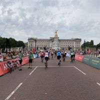 Profile photo for Martin Neall