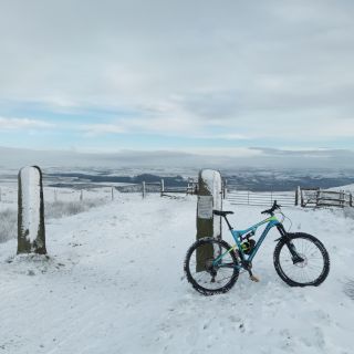 Profile photo for Neil Tonge