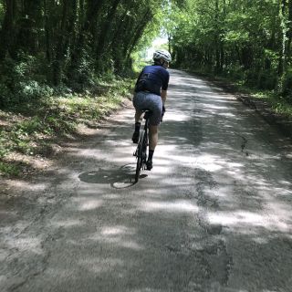 Profile photo for Pam Begg