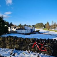 Profile photo for Fiona Hollinger