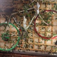 Profile photo for Nicola Canham