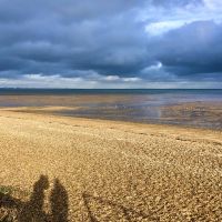 Profile photo for Tong Wang