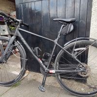 Profile photo for Steffie Lamb