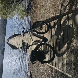 Profile photo for Jill Farr