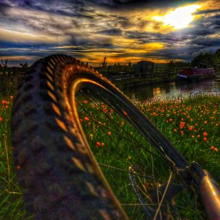 Profile photo for Tom Goode