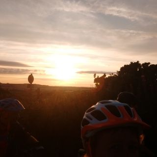 Profile photo for Lisa Mallon