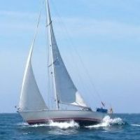 Profile photo for Paul Dumpleton