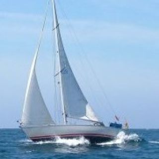 Profile photo for Paul Dumpleton