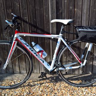 Profile photo for Shelagh Inglis