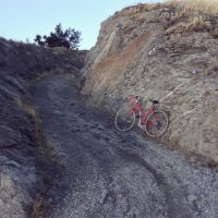 Profile photo for Holly Oliver