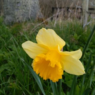 Profile photo for Julianne Barradale