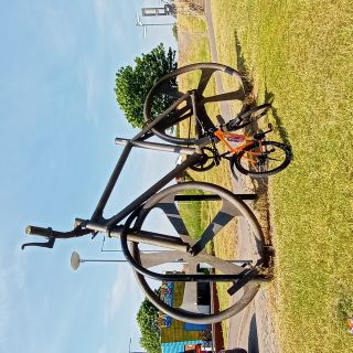 Profile photo for Davy Williams 