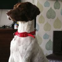 Profile photo for Morty  Yrefeekcm 