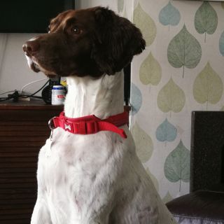 Profile photo for Morty  Yrefeekcm 