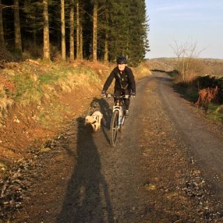 Profile photo for Judith Foster