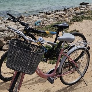 Profile photo for F Rajput