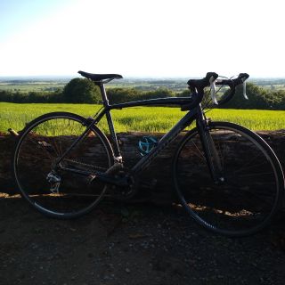 Profile photo for Donna  Bentley