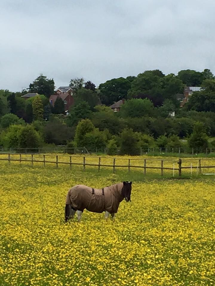 Let's Ride - Nutbrook Trail Circular