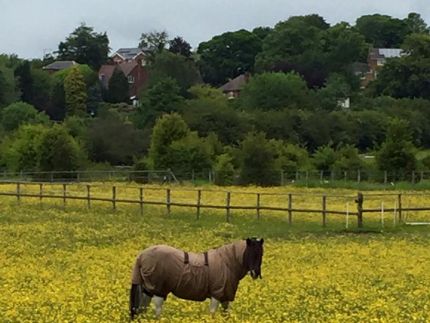 Let's Ride - Nutbrook Trail Circular