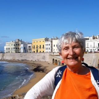 Profile photo for Anne Houghton