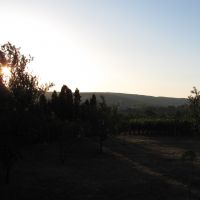 Profile photo for Simon McKnight