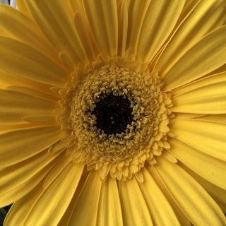 Profile photo for Emily  Webster 