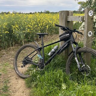 Profile photo for Adrian Kamar