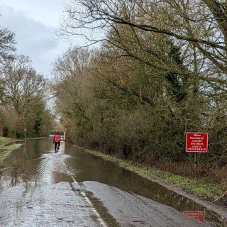 Profile photo for Tim Lightfoot