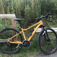 Profile photo for Linda Billett