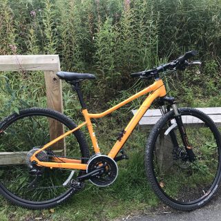 Profile photo for Linda Billett