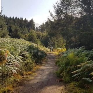 Profile photo for Janet Atkinson