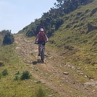 Profile photo for Natalie Bishop